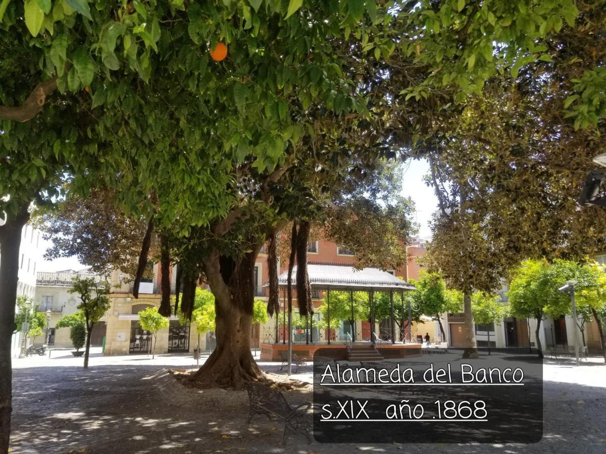Jerez Centro Historico Lejlighed Jerez de la Frontera Eksteriør billede